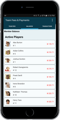 Features for Sports Teams - Team Fees & Payments Tracking